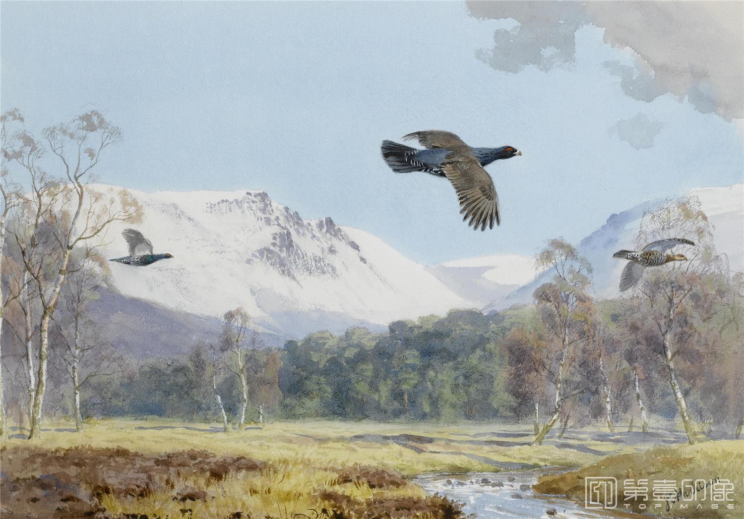 油画-约翰.赛里尔·哈里森 John Harrison作品集-131